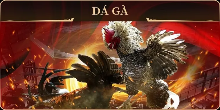 Hướng Dẫn Chi Tiết Cách Chơi Đá Gà GA28 Tại Nhà Cái 007Win