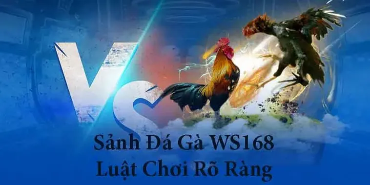 Hướng Dẫn Chi Tiết Cách Chơi Đá Gà WS168 Tại 007Win Cho Tân Thủ