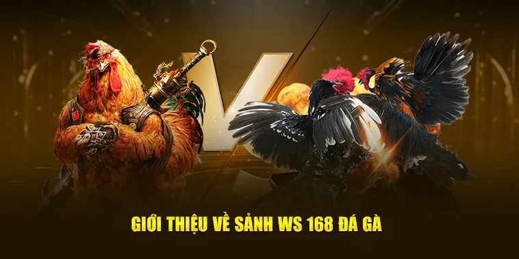 Hướng Dẫn Chi Tiết Cách Chơi Đá Gà WS168 Tại 007Win Cho Tân Thủ