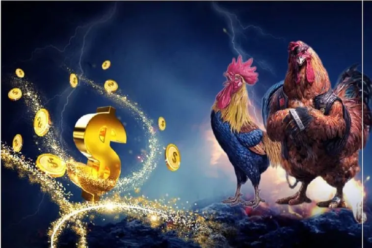 Kinh Nghiệm Cá Cược Đá Gà 007Win Đỉnh Cao Tại Trường Gà Quốc Tế