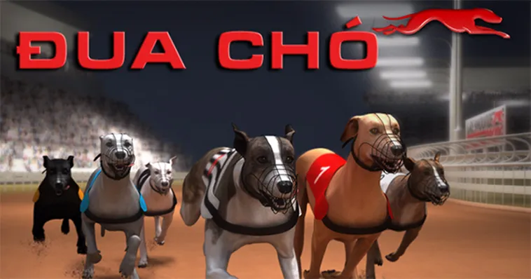 Hướng Dẫn Cách Chơi Game Nhanh Đua Chó Tại 007Win Hiệu Quả Nhất