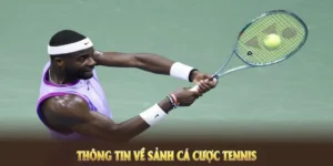 Bí Kíp Tìm Hiểu Cá Cược Quần Vợt 007Win Hiệu Quả Nhất